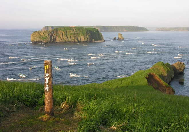 北海道 浜中町 | 集まれ！地域の未来を創る挑戦者たち！